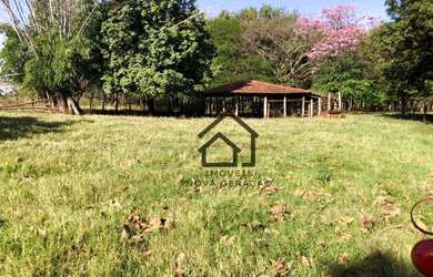 Imagem 12: Sítio à venda, 7 alqueires paulistas por R$ 1.680.000, 4 mil árvores...