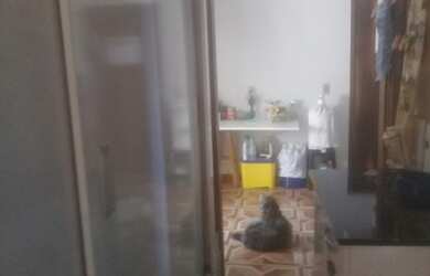 Imagem 8: Apartamento para venda no condomínio Porto Bello