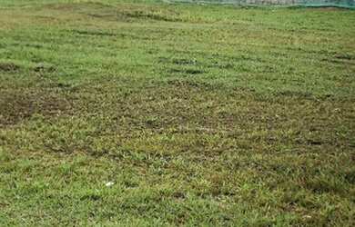 Imagem 3: INDAIATUBA - Terreno Padrão - Condomínio Helvetia Park