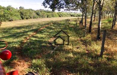 Imagem 5: Sítio à venda, 7 alqueires paulistas por R$ 1.680.000, 4 mil árvores...