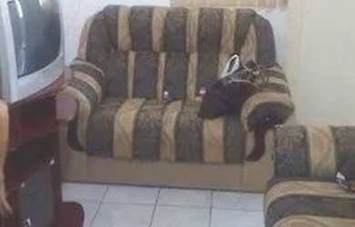 Imagem: O apartamento à venda possui 1 Dormitório, 1 Banheiro, 1 Vaga