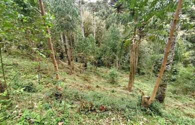 Imagem 3: Terreno a venda. 5.340m² de Área