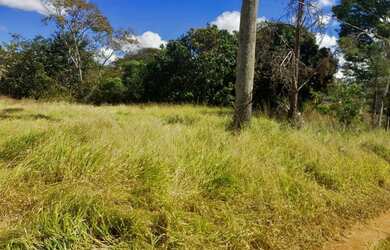 Imagem: A chácara possui 10.000m² de Área e está localizado em