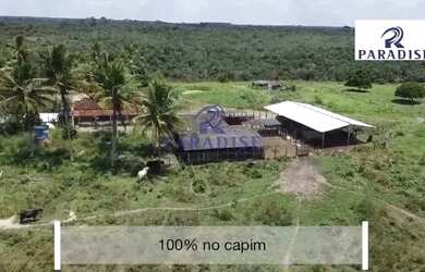 Imagem 7: Fazenda, Centro, Cardeal da Silva - R$ 2.3 mi, Cod: 68684
