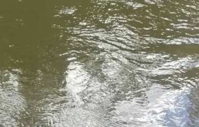 Imagem: A chácara possui 800m² de Área e está localizado em Cidade