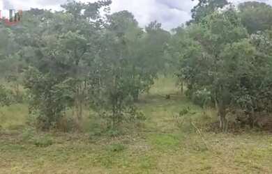 Imagem 9: Fazenda para Venda em Centro Chapada Gaúcha-MG