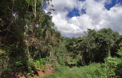 Imagem 9: Sítio / Chácara para Venda em Nova Petrópolis, Stille Eck