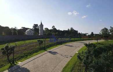 Imagem 9: Terreno à venda, 559 m² por R$ 699.000,00 - Monte Bérico - Caxias do Sul/RS