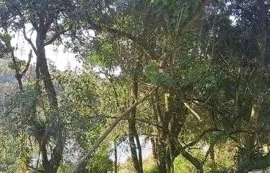 Imagem 5: Terreno frente lago. 469m² de Área