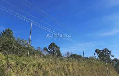 Imagem 4: ÁREA à venda com 11450m² por R$ 2.700.000,00 no bairro Itaqui - CAMPO...