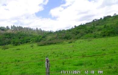 Imagem 10: 2166/Ótima fazenda de 260 ha em Além Paraíba MG