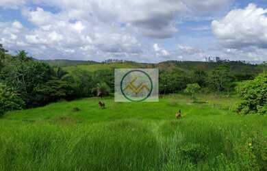 Imagem 14: Chácara à venda COM 8,5 tarefas no Sapé - Itaporanga D x27 Ajuda/SE