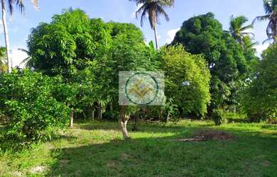 Imagem 4: Chácara à venda com 09 tarefas - Itaporanga D x27 Ajuda/SE