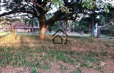 Imagem 9: Sítio à venda, 7 alqueires paulistas por R$ 1.680.000, 4 mil árvores...