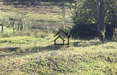 Imagem 16: Sítio à venda, 7 alqueires paulistas por R$ 1.680.000, 4 mil árvores...