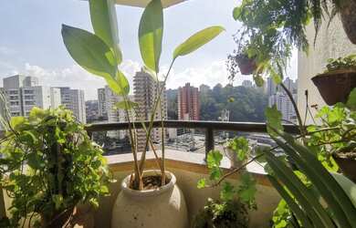 Imagem 8: Apto 130m² Condomínio Victoria Garden Vila Andrade Zona Sul