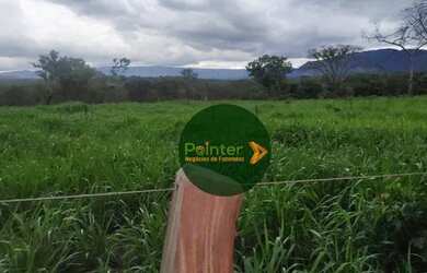 Imagem 3: Fazenda à venda, 522 hectares por R$ 10.800.000 - Zona Rural - Niquelândia/GO