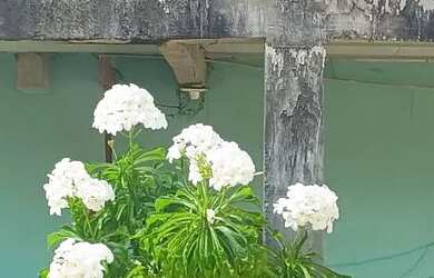 Imagem 4: Duplex a venda. Varanda, 50m² de Área, 1 Vaga na garageme4 Dormitórios