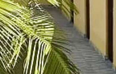 Imagem 15: COMERCIAL - CENTRO CANGUERA - SP