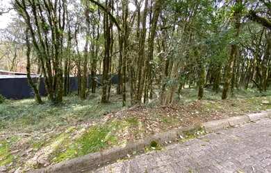 Imagem 3: Terreno em Condomínio - Bairro Pinheiro Grosso