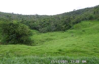 Imagem 15: 2166/Ótima fazenda de 260 ha em Além Paraíba MG