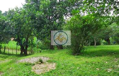 Imagem 8: Chácara à venda COM 8,5 tarefas no Sapé - Itaporanga D x27 Ajuda/SE