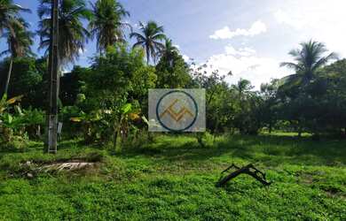 Imagem 3: Chácara à venda com 09 tarefas - Itaporanga D x27 Ajuda/SE