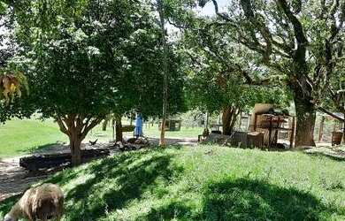 Imagem 15: Vendo lindo sítio em Araçoiaba da Serra SP bairro Jundiacanga