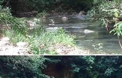 Imagem 9: Fazenda Riacho das Pedras 274 hectares 2 milhões e duzentos mil reais