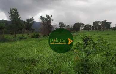 Imagem 2: Fazenda à venda, 522 hectares por R$ 10.800.000 - Zona Rural - Niquelândia/GO