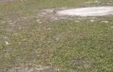 Imagem 2: VENDO TERRENO EM PANAQUATIRA