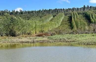 Imagem 2: Fazenda 404 hectares Próximo a Salinas/MG