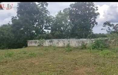 Imagem 3: Fazenda para Venda em Centro Chapada Gaúcha-MG