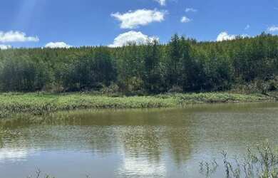 Imagem 9: Fazenda 404 hectares Próximo a Salinas/MG