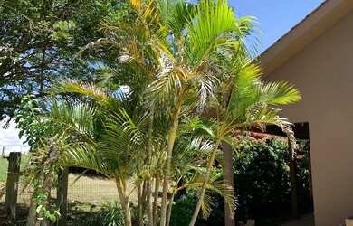 Imagem: A chácara está localizado em Scharlau, São Leopoldo à venda