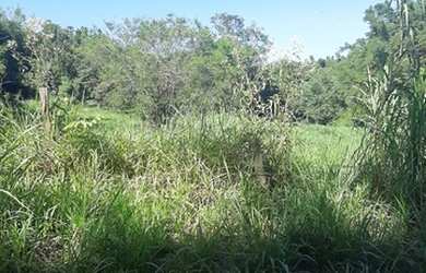 Imagem 2: Terreno à venda no Pinheirinho em Vinhedo/SP