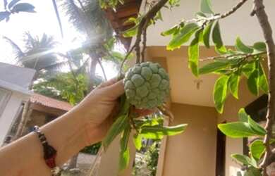 Imagem 4: Aluguel por temporada na Praia do futuro