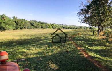 Imagem 6: Sítio à venda, 7 alqueires paulistas por R$ 1.680.000, 4 mil árvores...