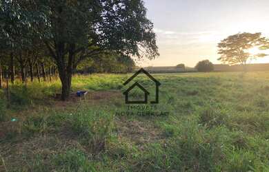 Imagem 8: Sítio à venda, 7 alqueires paulistas por R$ 1.680.000, 4 mil árvores...