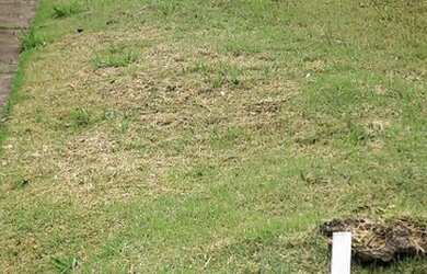 Imagem 2: INDAIATUBA - Terreno Padrão - Condomínio Helvetia Park