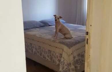 Imagem 10: Lindo Apartamento na Região do Jaçanã