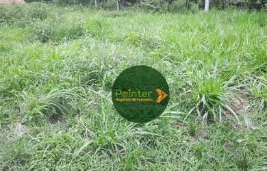 Imagem 4: Fazenda à venda, 522 hectares por R$ 10.800.000 - Zona Rural - Niquelândia/GO