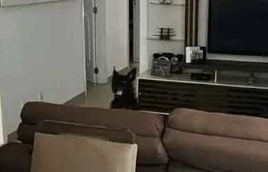 Imagem 3: Casa com 3 dormitórios à venda, 137 m² por R$ 839.000 - Jardim Sulacap...