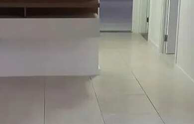 Imagem 14: Apartamento para vender e alugar no CONDO VILA ALLEGRO - AVENIDA LUÍS...