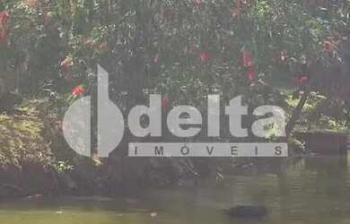 Imagem 15: Chácara Residencial disponível para Venda no bairro Guarani em Uberlândia-MG