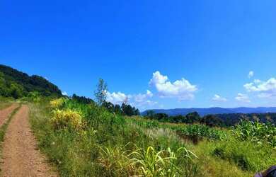 Imagem: A fazenda possui 50.000m² de Área e está localizado em Nova