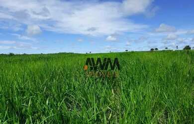 Imagem 5: Fazenda à venda, 501 alqueires por R$ 90.180.000 - Centro - Porangatu/GO