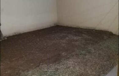 Imagem 15: Aluguel de Casa em Bela Vista de Goiás