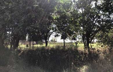 Imagem 2: Terreno à venda, 2500 m² por R$ 175.000,00 - Zona Rural - Patrocínio...