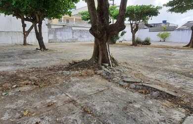 Imagem 7: Terreno para aluguel, Tambauzinho, João Pessoa - 12286